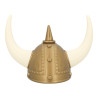 Helma vikinga Erika